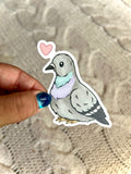 Rock Pigeon Sticker