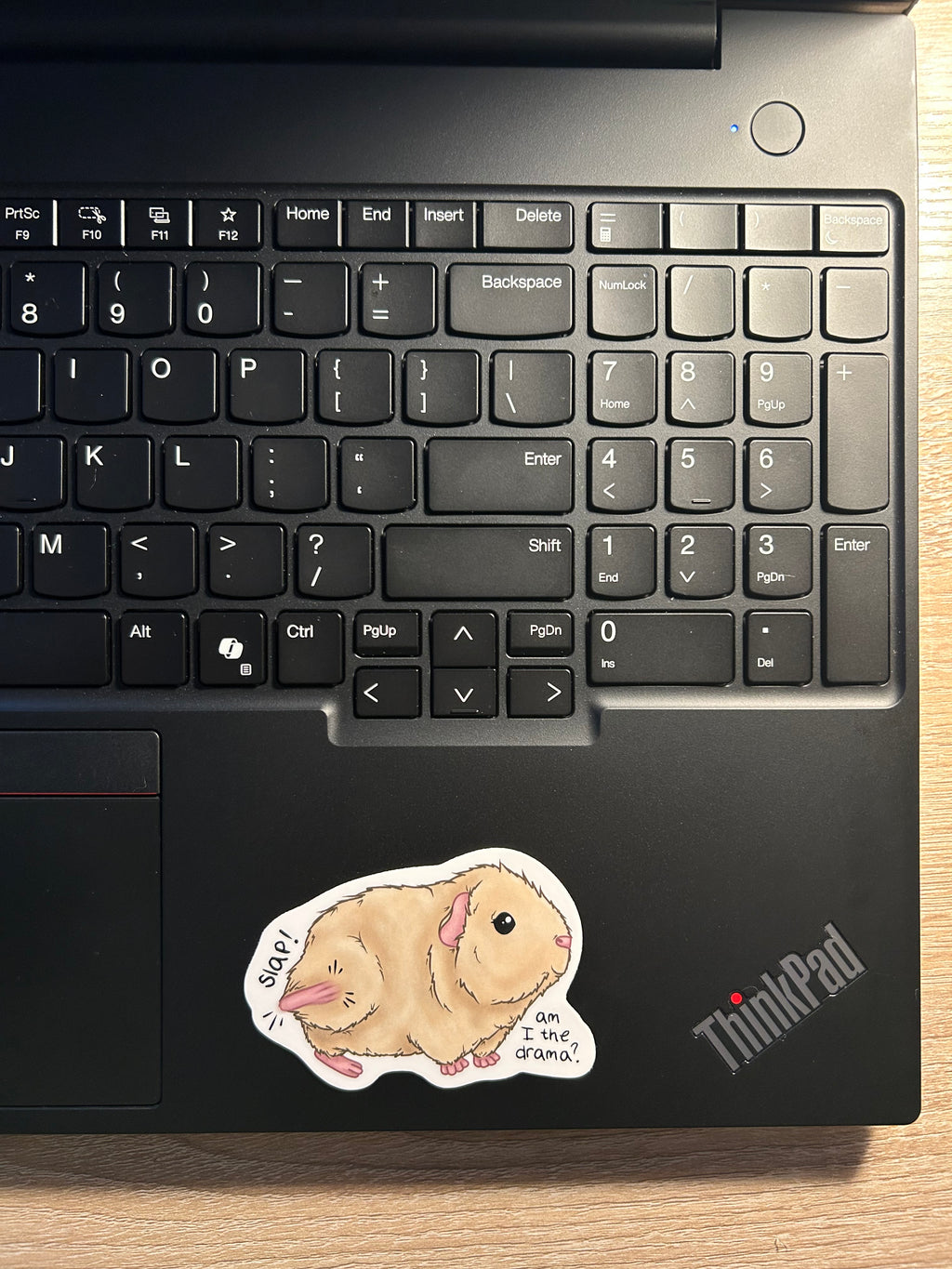 Am I the Drama? - Guinea Pig Sticker