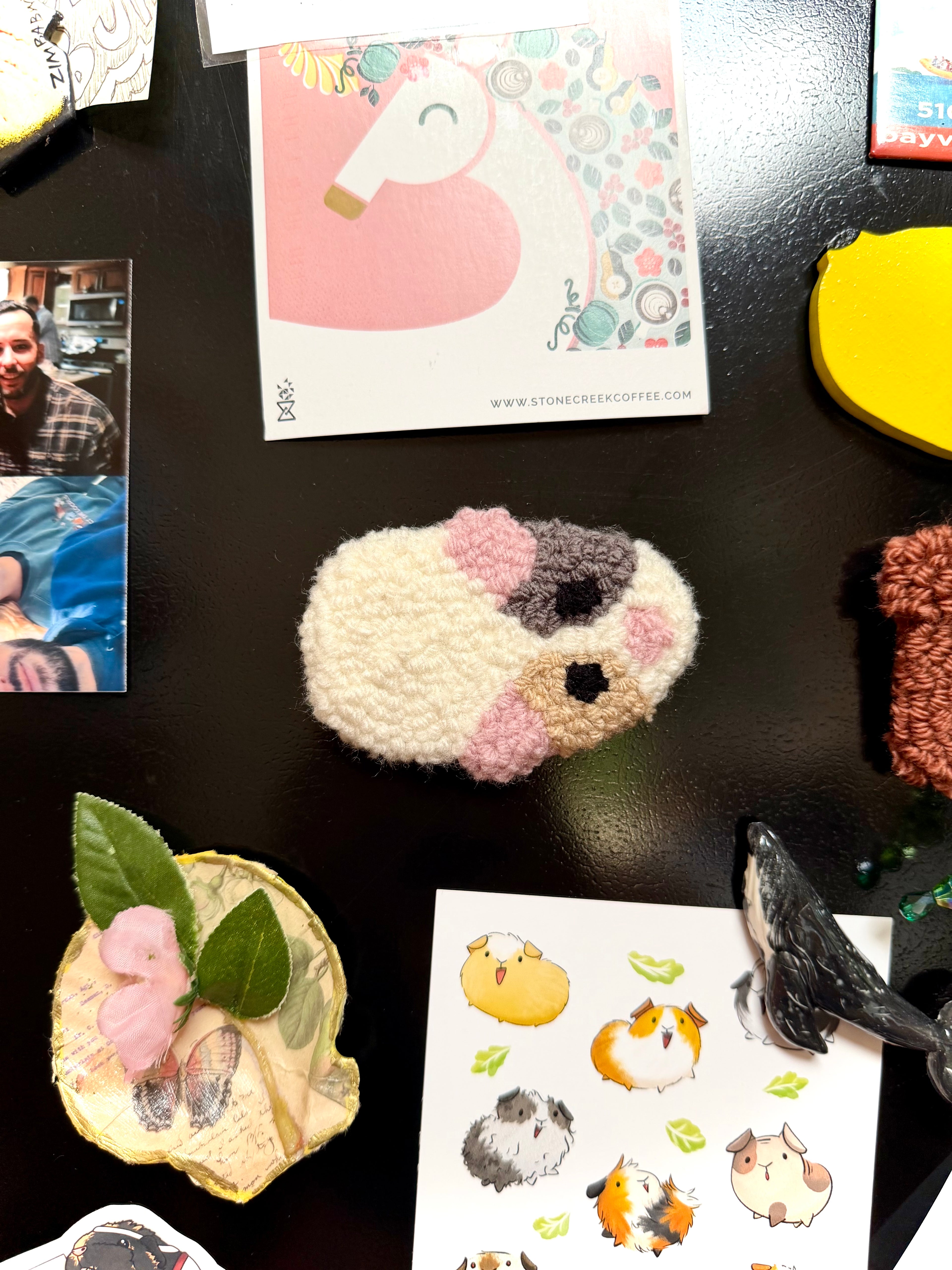 Guinea Pig Magnets