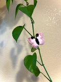 Butterfly Plant Ornaments