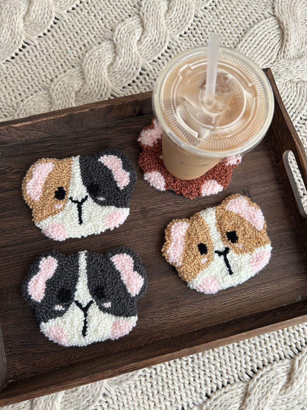 Guinea Pig Coasters