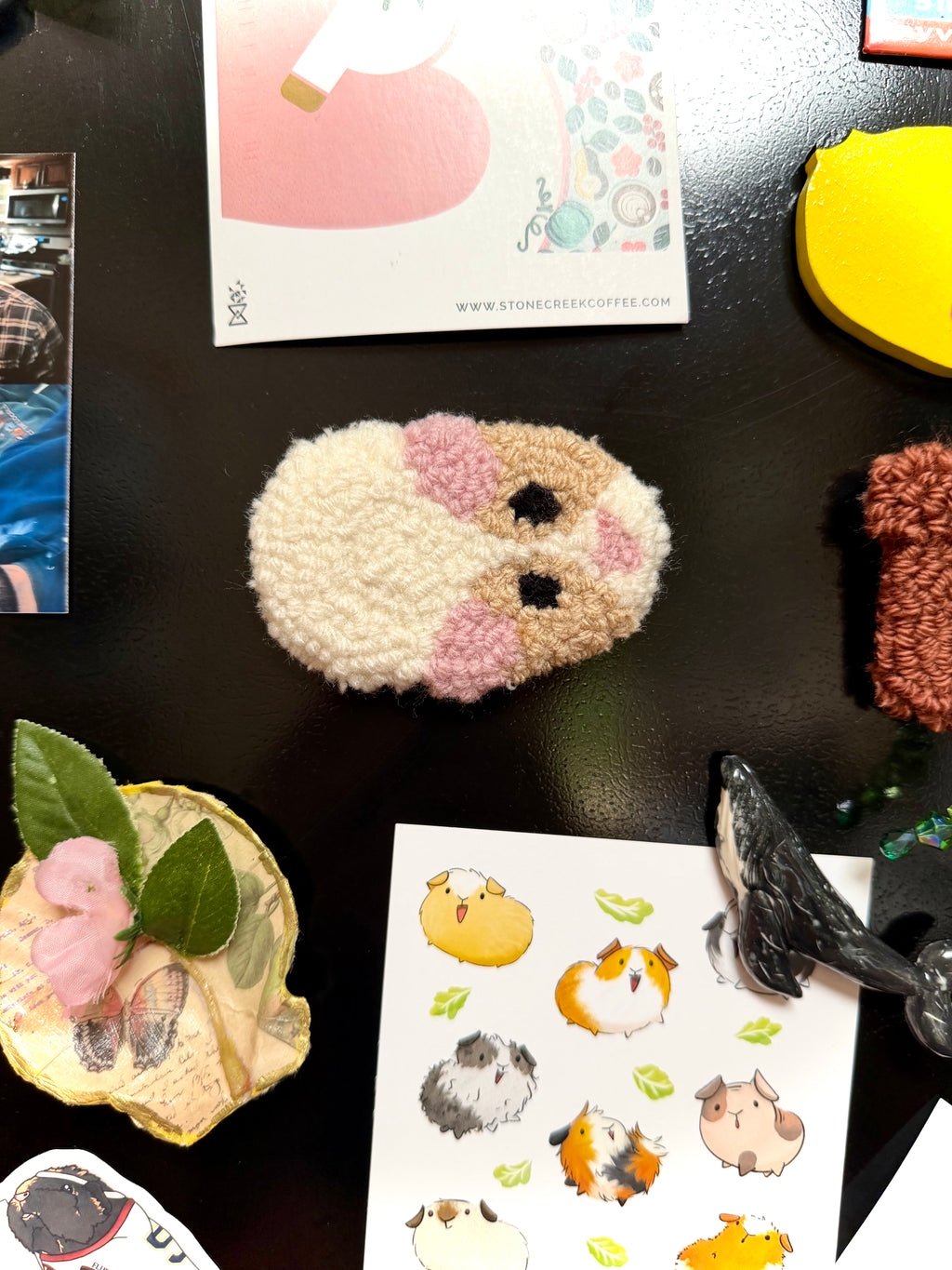 Guinea Pig Magnets