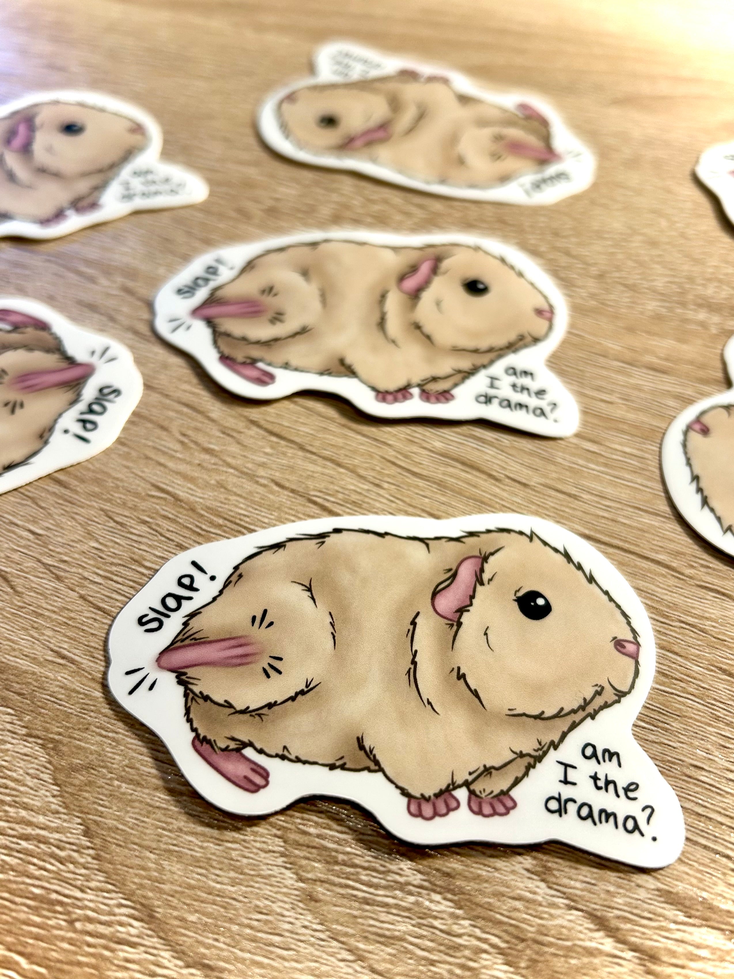 Am I the Drama? - Guinea Pig Sticker