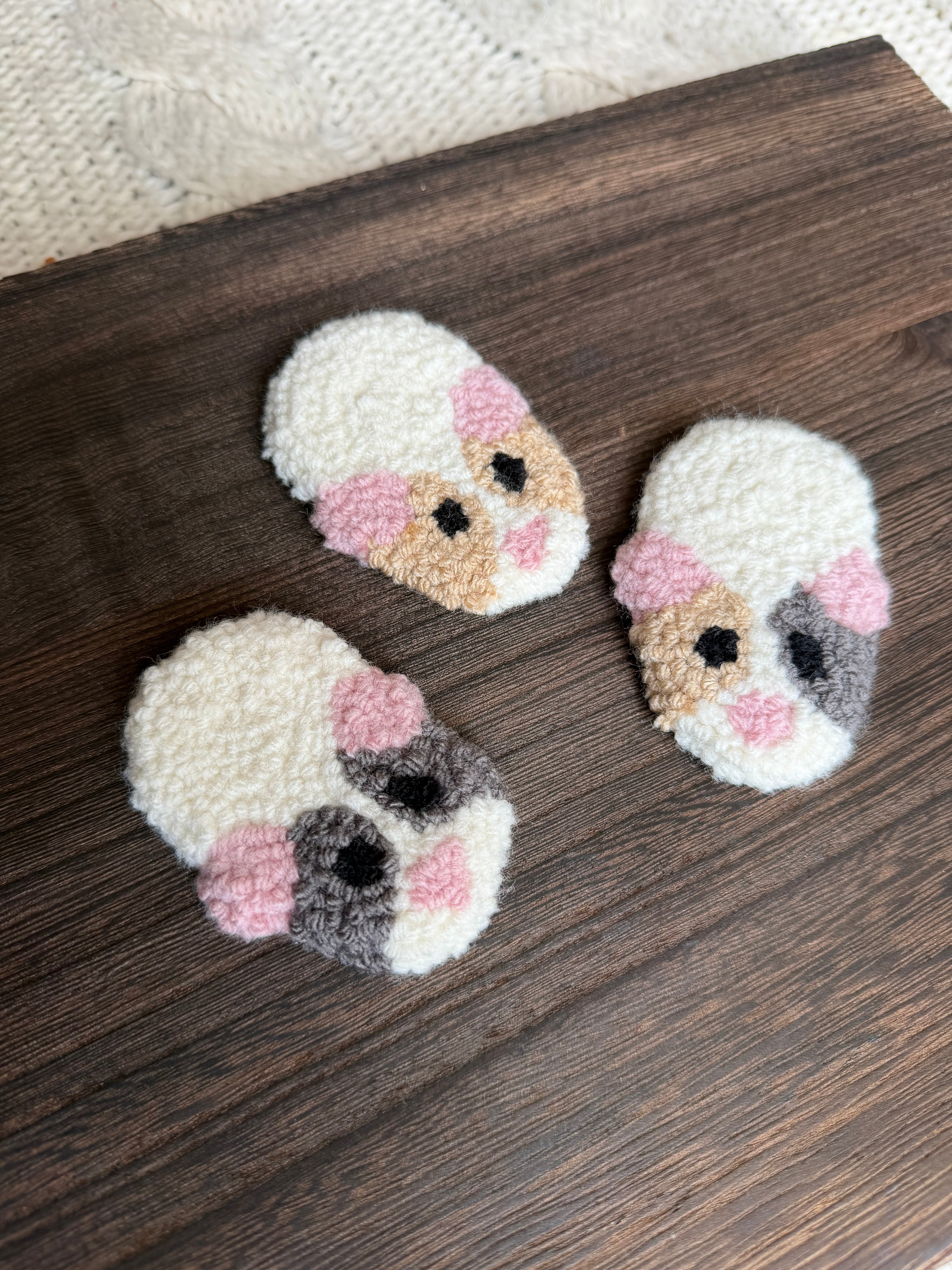 Guinea Pig Magnets