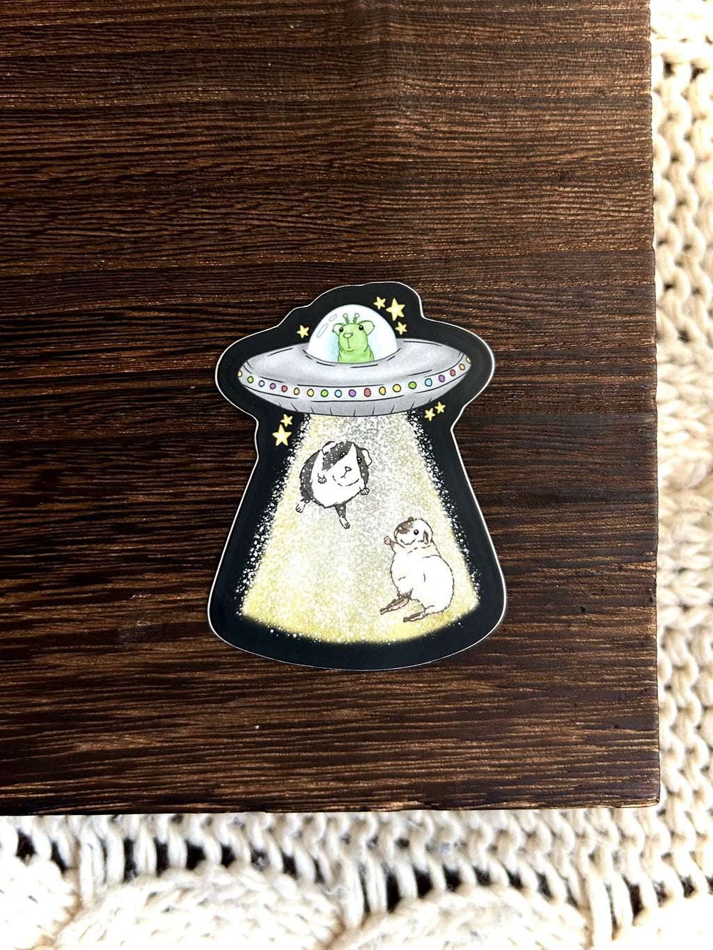 UFO Guinea Pig Sticker