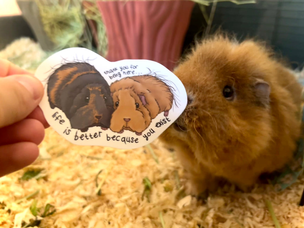 Thank you for being here - Guinea Pig Sticker